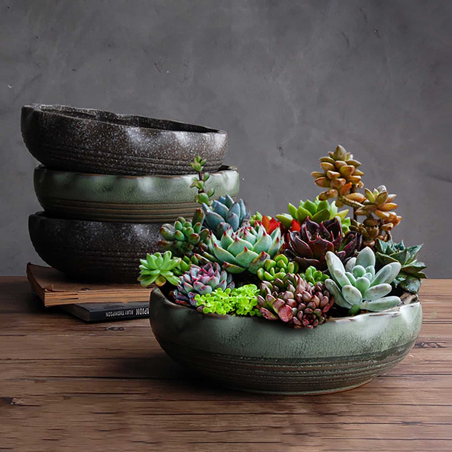 21 Indoor Succulent Planters for Indoor Succulent Gardens
