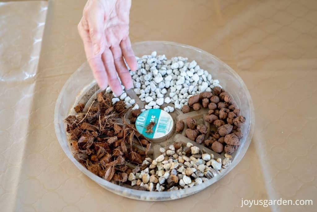 a hand points at a saucer with 4 succulent soil amendments