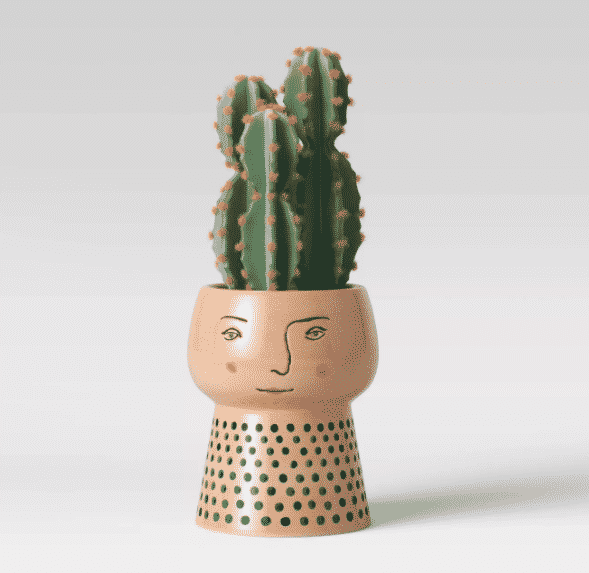 whimsical planter with facial detailing and a artificial cactus inside pot from Target