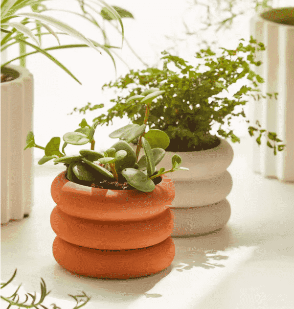 mini stacking pots with houseplants inside from urban outfitters