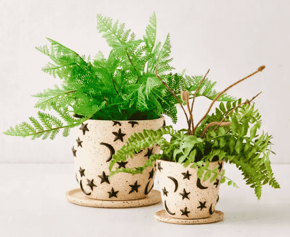 2 planters with star and moons from urban outfitters