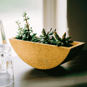 the totter planter from west elm