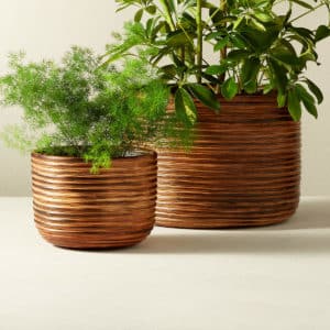 2 burnt rattan planters from cb2
