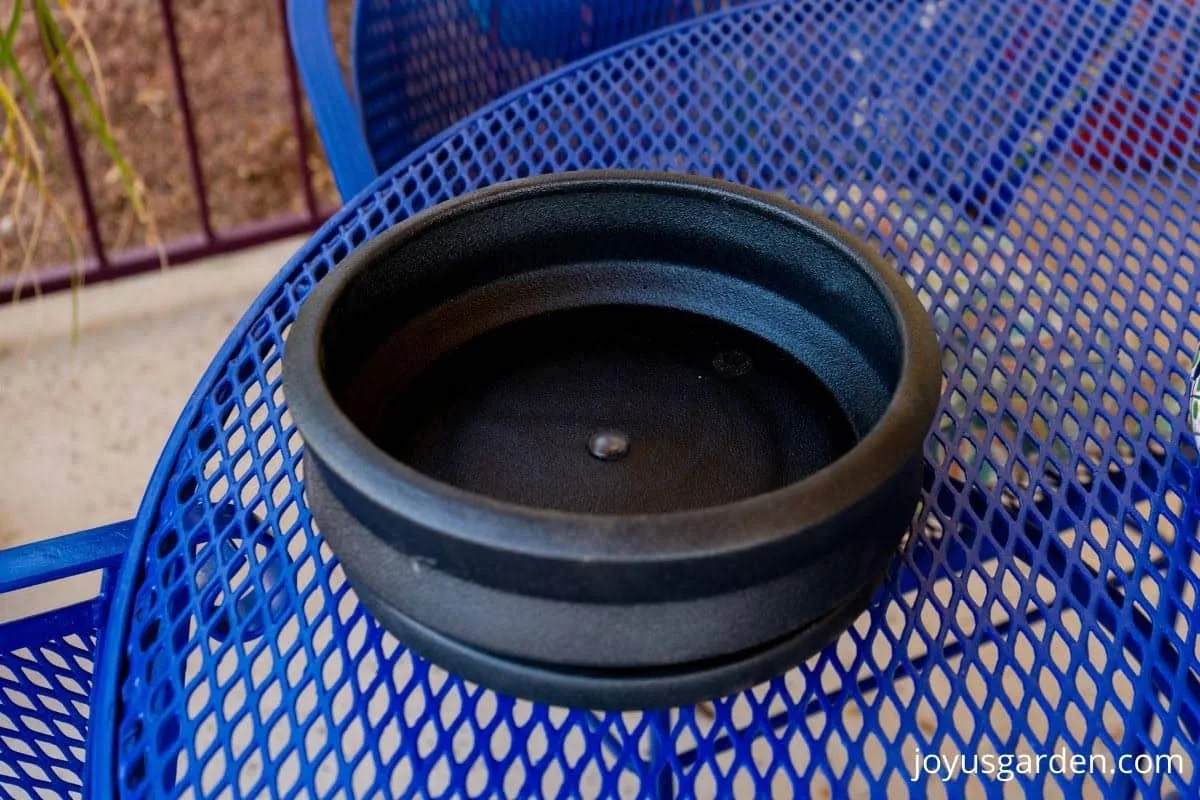 a black low ceramic planter sits on a blue patio table
