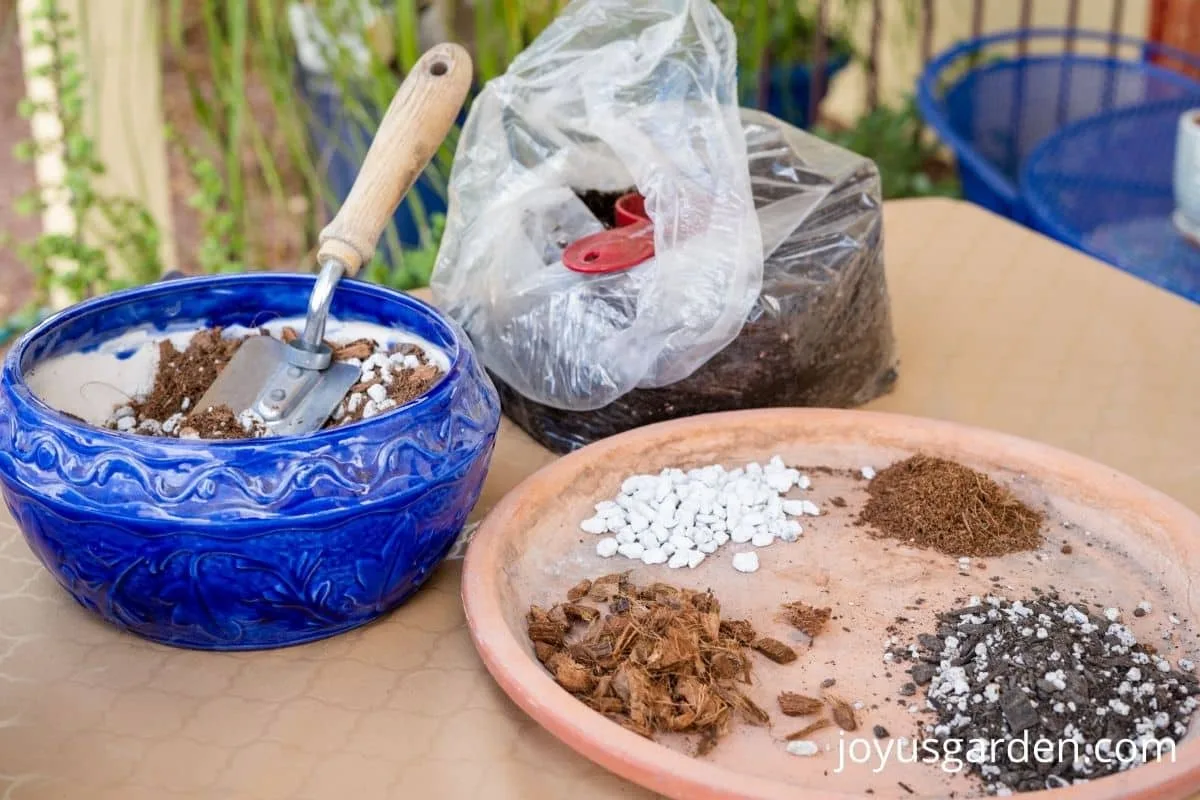 a variety of potting soils & amendments used to repot a rhaphidophora tetrasperma