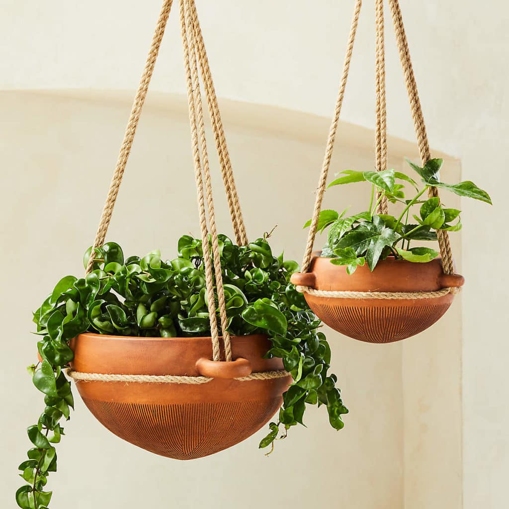 two hanging planters in terracotta bowls with a mix of plants potted inside