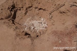desert soil