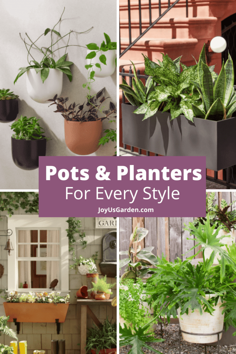 Pots and Planters: Choose The One That Fits Your Style