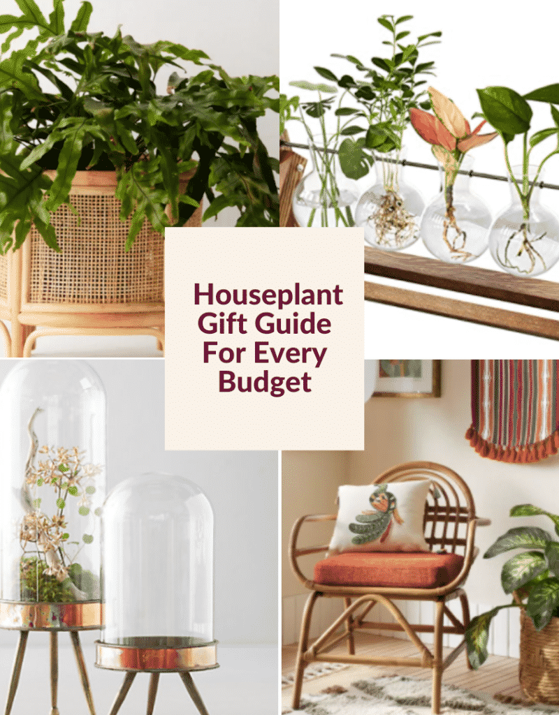 a collage of 4 photos of gifts for indoor gardeners the text reads houseplant gift guide for every budget