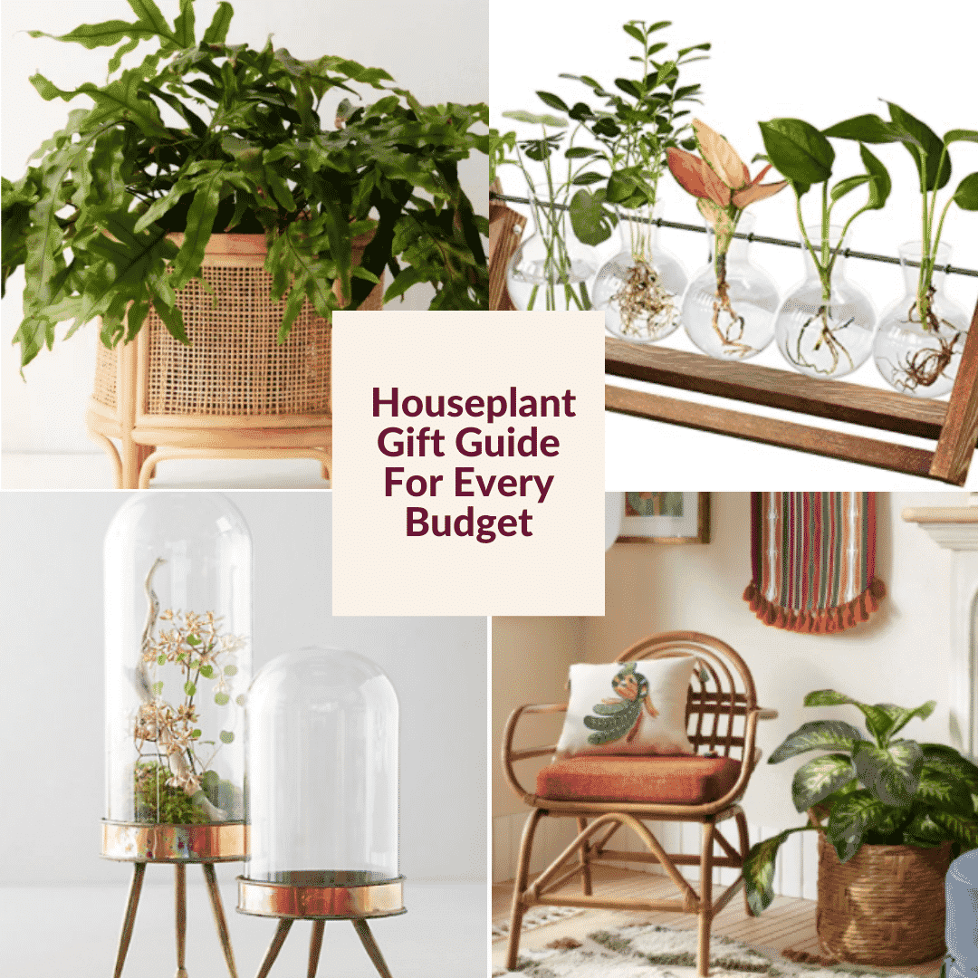 A collage of 4 photos of gifts for indoor gardeners the text reads houseplant gift guide for every budget joyusgarden.com.