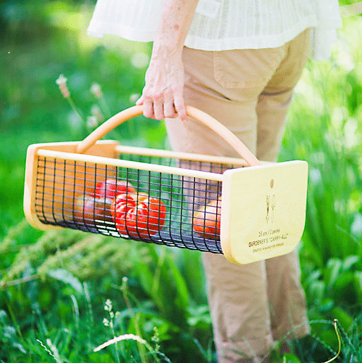 A woman holding a garden carry all basket outdoors in grassy area with veggies in basket. 