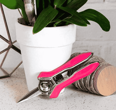 pink pruning snips laid down on table in front of green plant for sale at amazon