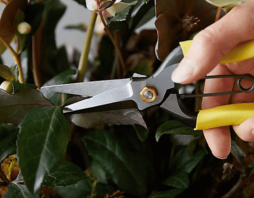 hand holding yellow pruners for sale at terrain