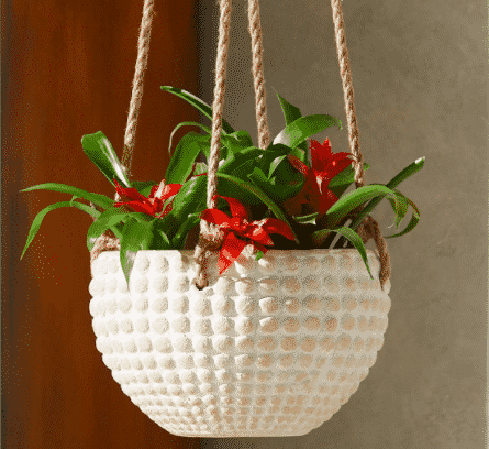 terracotta hanging pot with red flowered plant inside for sale at cb2