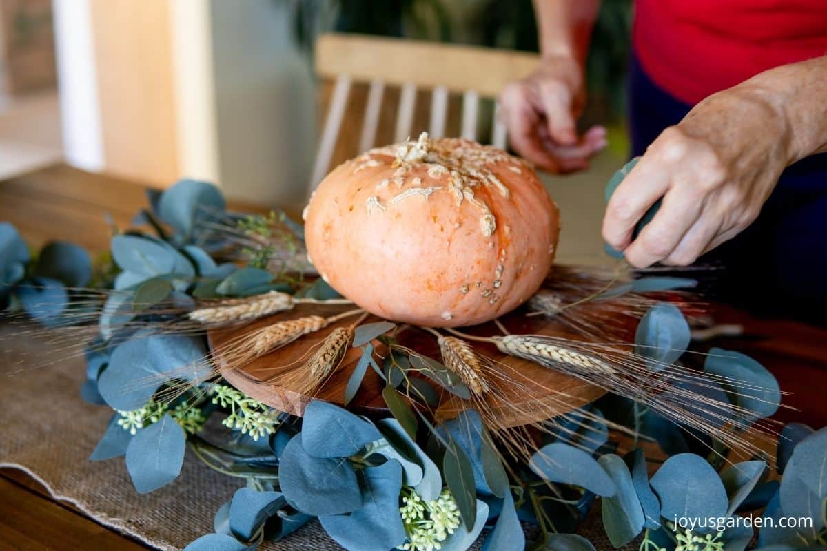 hands arrange the beginning of a fall tablescape with a small peanut pumpkin, heads of wheat, eucalyptus garland & a wooden cake stand