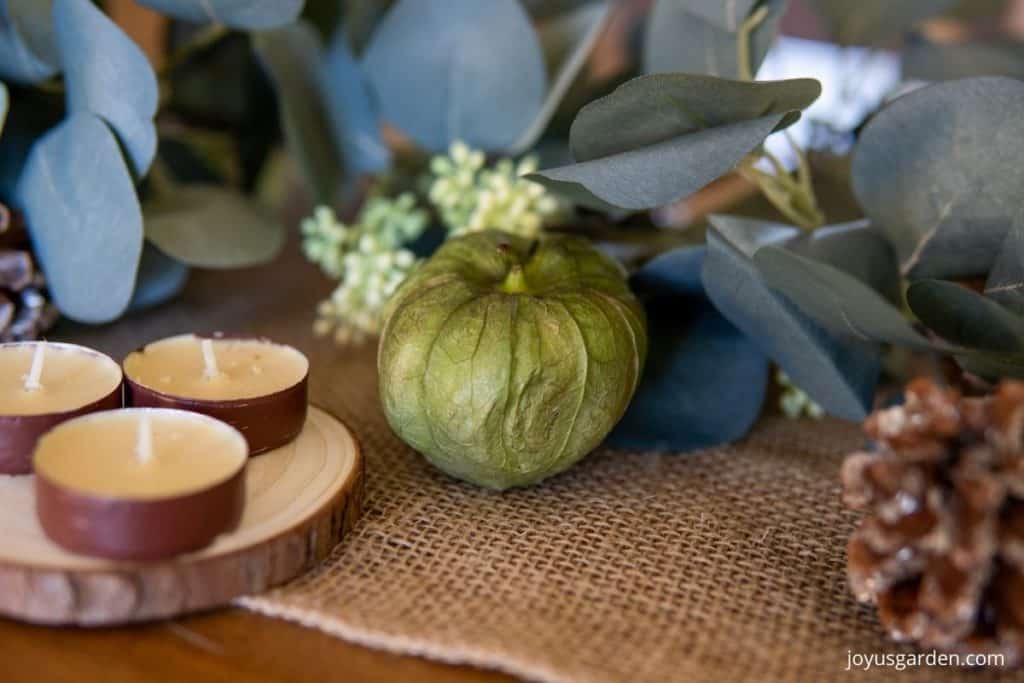 close up of a fall tablescape with a burlap tale runner eucalyptus garland tea candles on a piece of bark a tomatillo & a pinecone