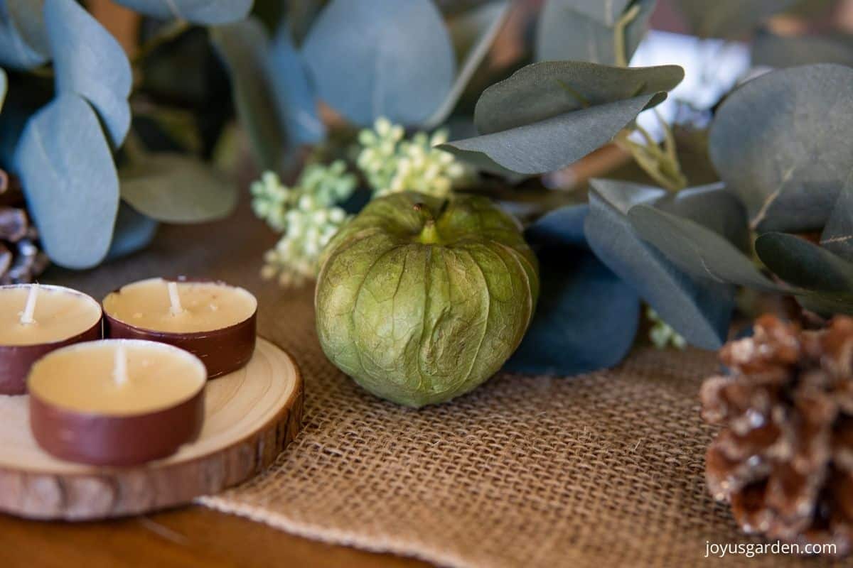 close up of a fall tablescape with a burlap tale runner eucalyptus garland tea candles on a piece of bark a tomatillo & a pinecone