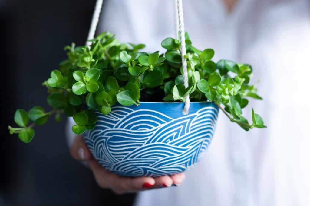 ceramic planter with sea pattern & drainage hole from esty