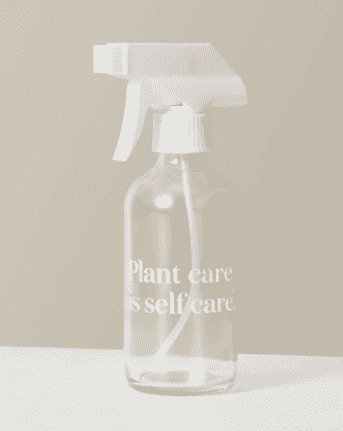 8 oz spray bottle that reads plant care is self care to buy at etsy
