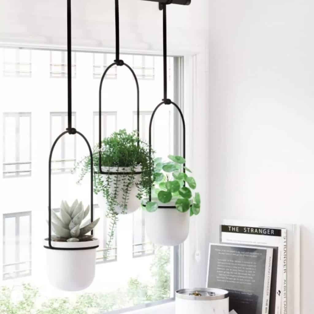 triflora hanging planter white/black from target