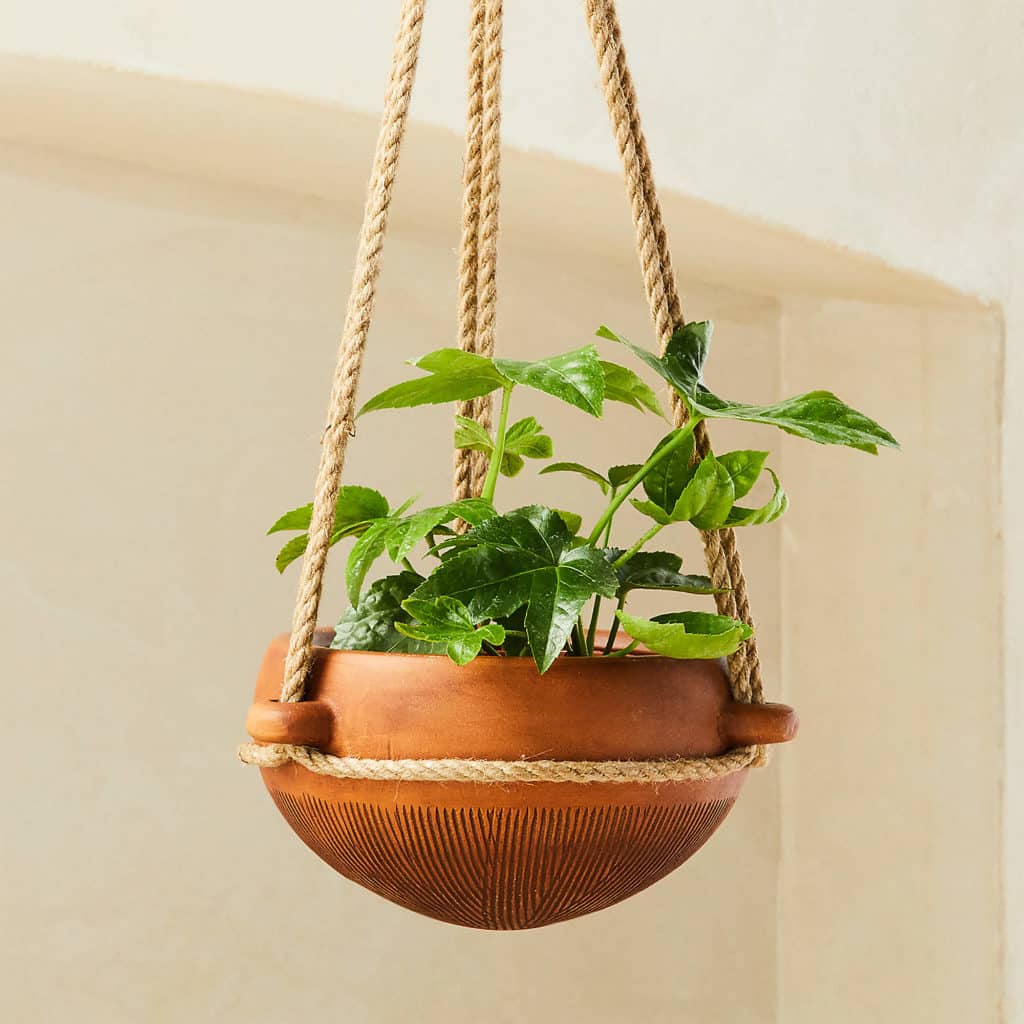 salavador brown hanging planter from cb2