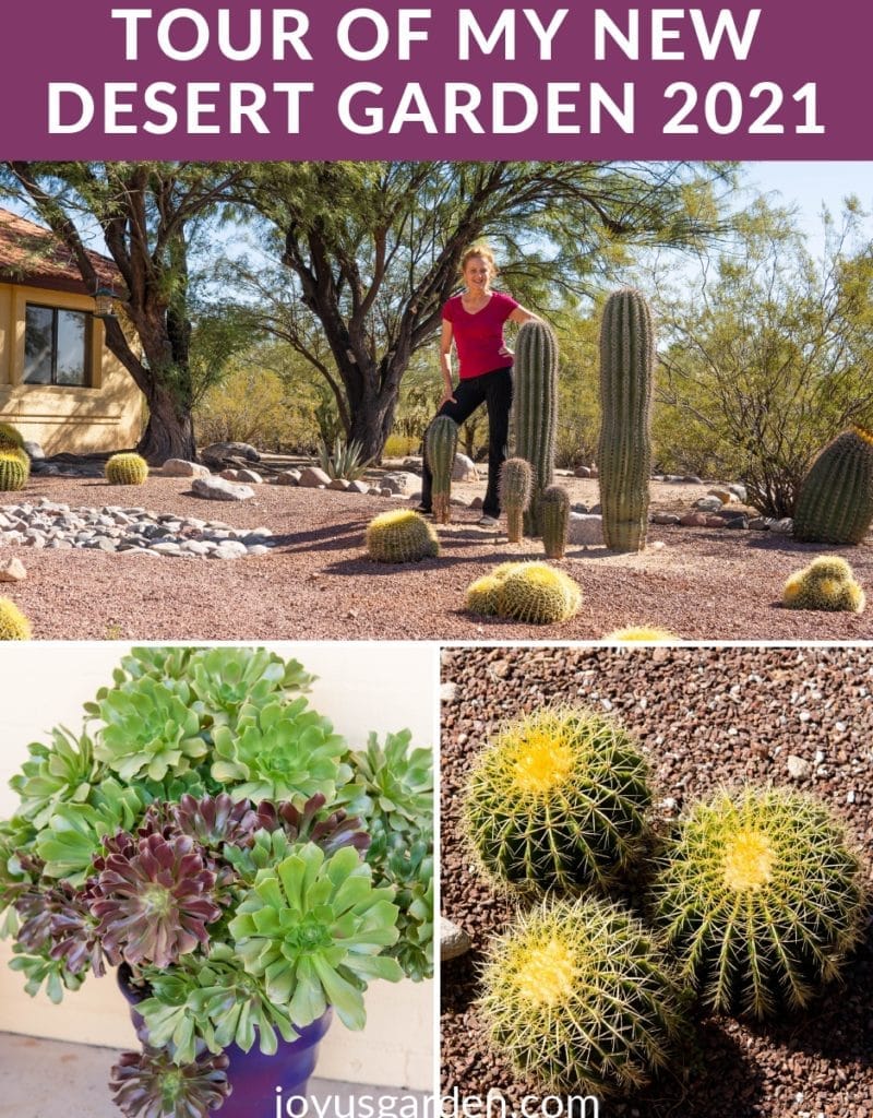 Desert Gardening Joy Us Garden Care