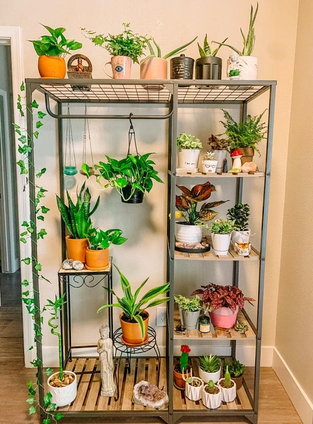 indoor metal plant display shelf idea with multiple houseplants