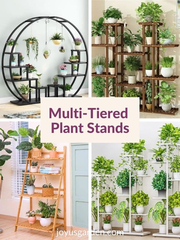 a collage of 4 indoor plant stands for multiple plants the text reads multi tiered plant stands