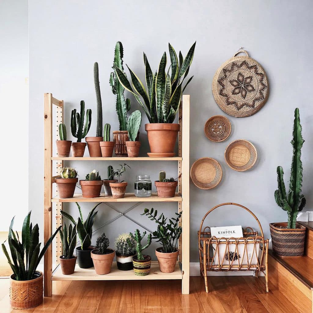 a shelf with succulents in terra cotta pots & surrounding accessories create a southwestern vibe