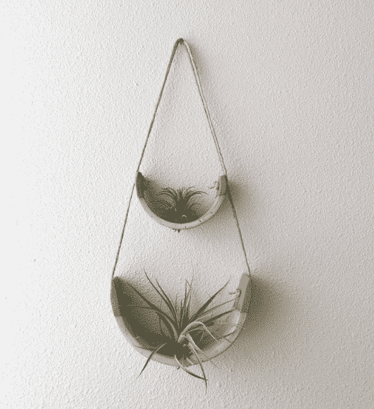 double buff clay hanging air plant cradle to buy at etsy