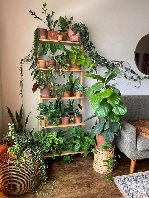 a 5 tier wooden shelf holds plants in terra cotta pots