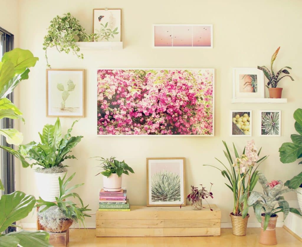 gallery wall featuring images of plants and trees