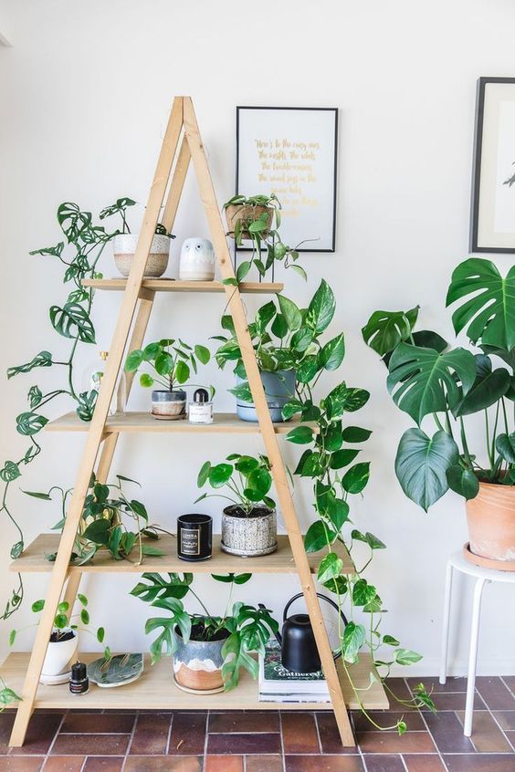a peaked wooden ladder shelf holds plants & nicknacks & a watering can