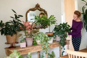 a woman is decorating with many indoor plants on a 2-tier table