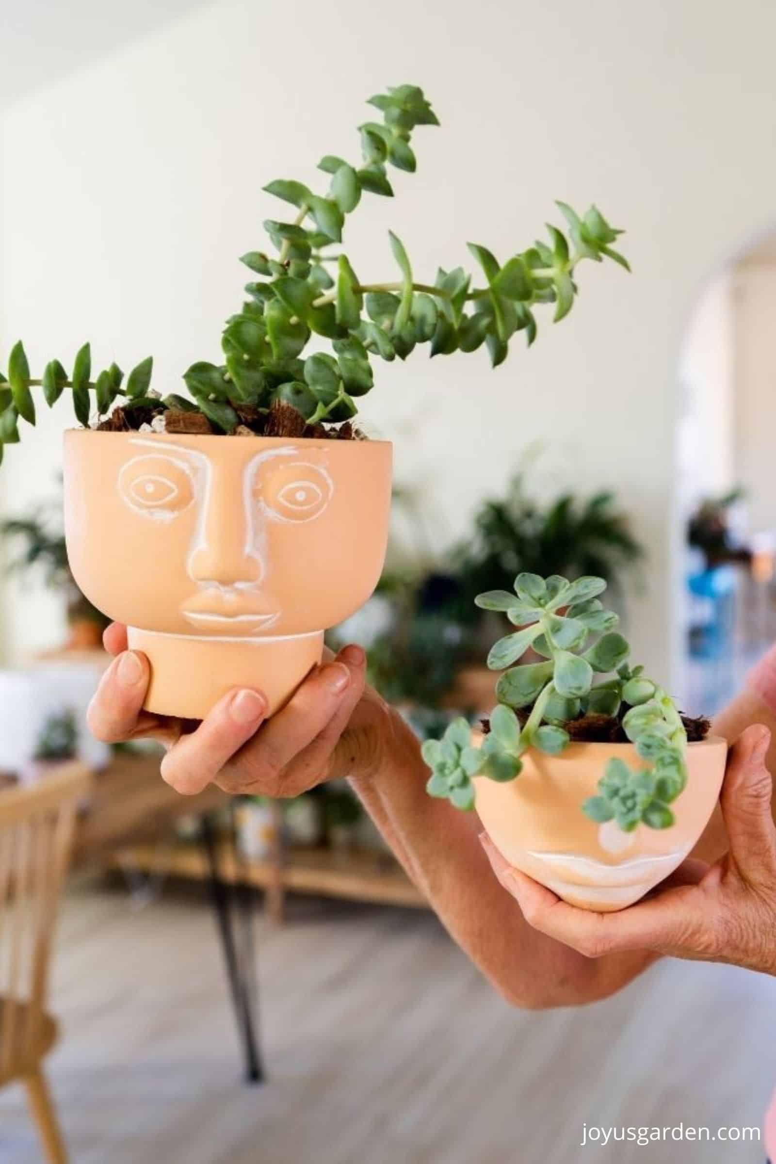two face shaped orange pots for succulents with green trailing succulents inside to buy on amazon