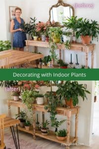 a collage with 2 photos showing a table with multiple plants and pots on it before & after the text reads decorating with indoor plants