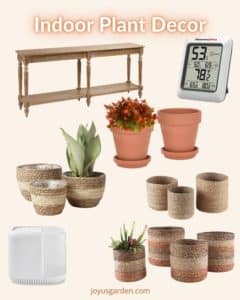 a collage showing a table and decorative rope baskets terra cotta pots humidifier and humidity reader for plants for purchase from amazon the text reads indoor plant decor