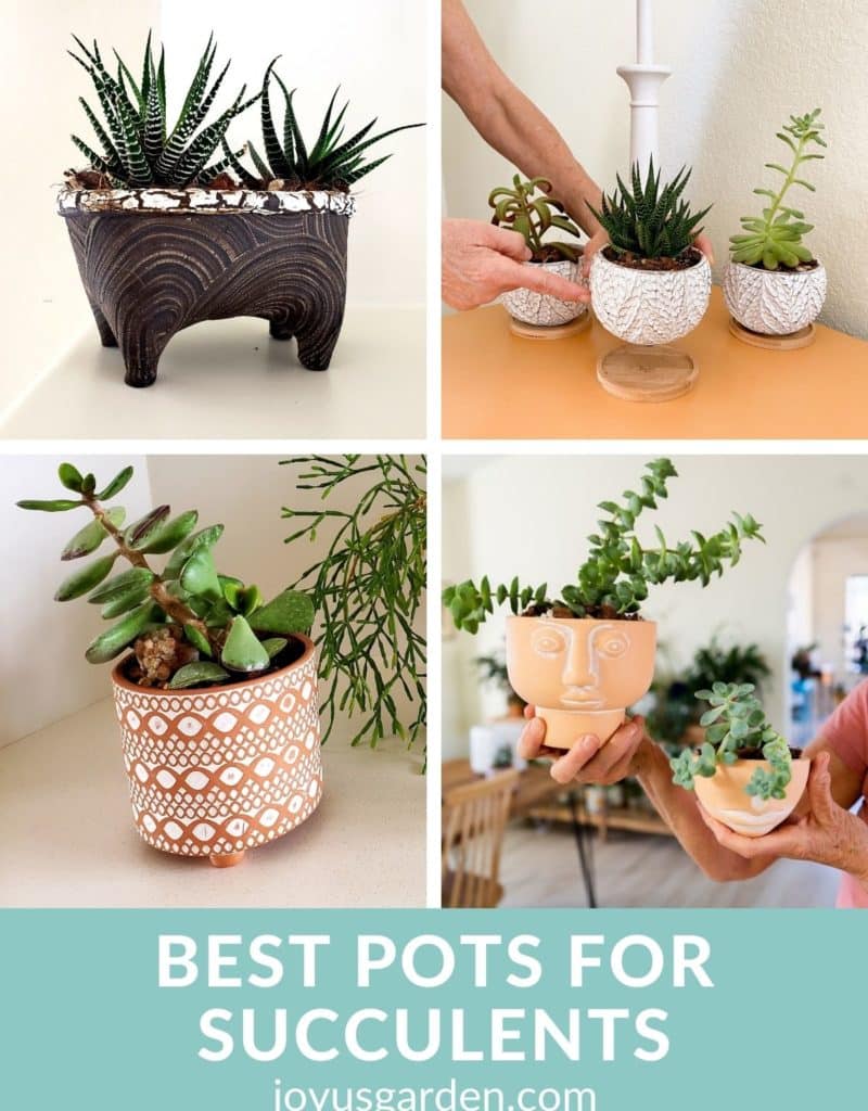a collage of 4 cute small pots for succulents the text reads best pots for succulents joyusgarden.com