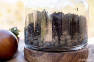 close up of the layers of soil, rock, and charcoal in a terrarium