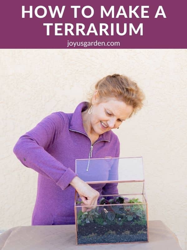 How to Make A Terrarium: 4 DIY Terrarium Ideas