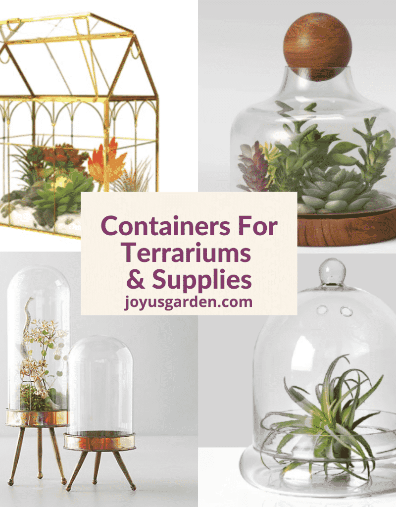 a collage of 4 different glass terrariums for sale the text reads containers for terrariums & supplies joyugarden.com