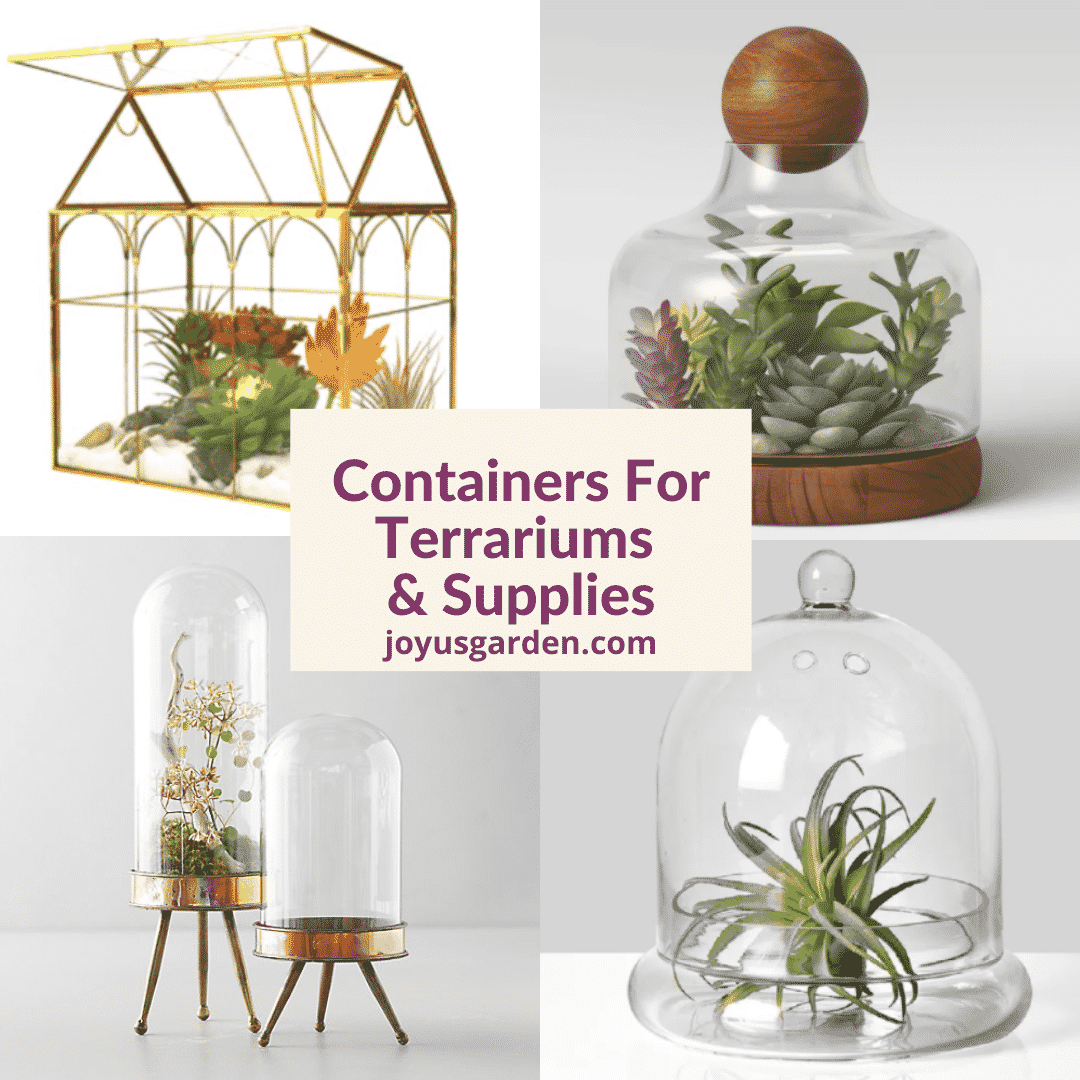 a collage of 4 different glass terrariums for sale the text reads containers for terrariums & supplies joyugarden.com