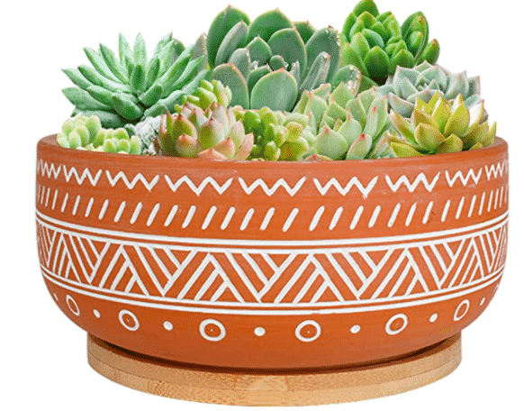 succulent planter with geometric design and array of succulents inside available at Amazon
