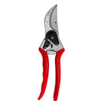 Felco f2 pruners with rd handle from Amazon. 