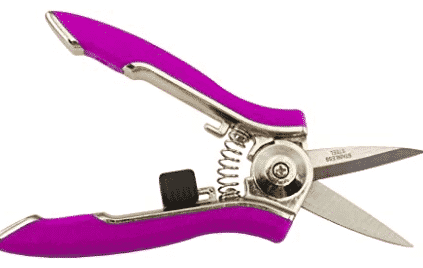 Purple handle floral snips from amazon.