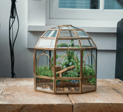 birdcage style terrarium with a variety of plants inside from etsy