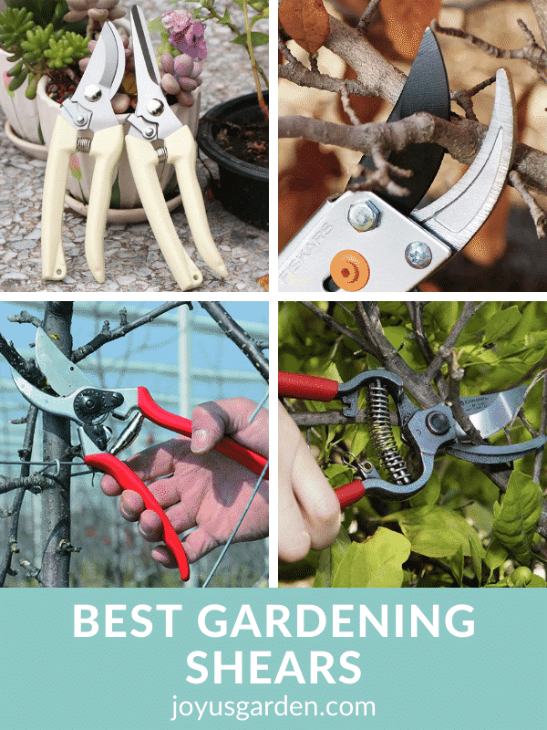 a collage showing 4 different pairs of gardening shears to buy close up cutting branches the text reads best gardening shears