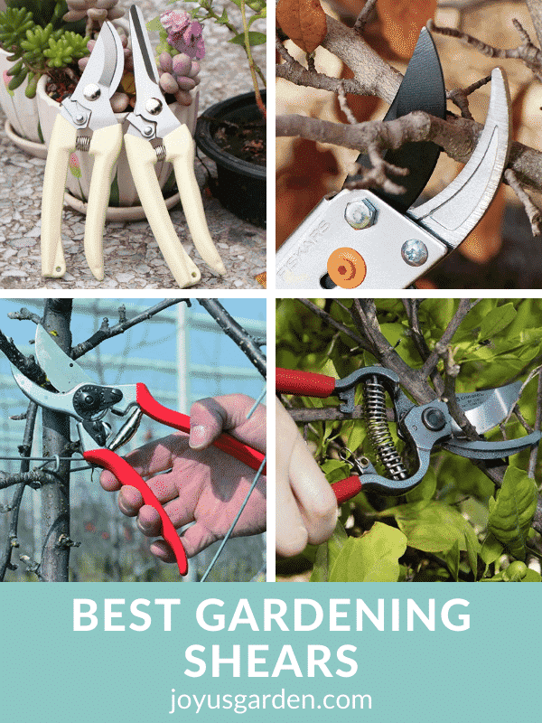 Five Favorites: Pruning Shears