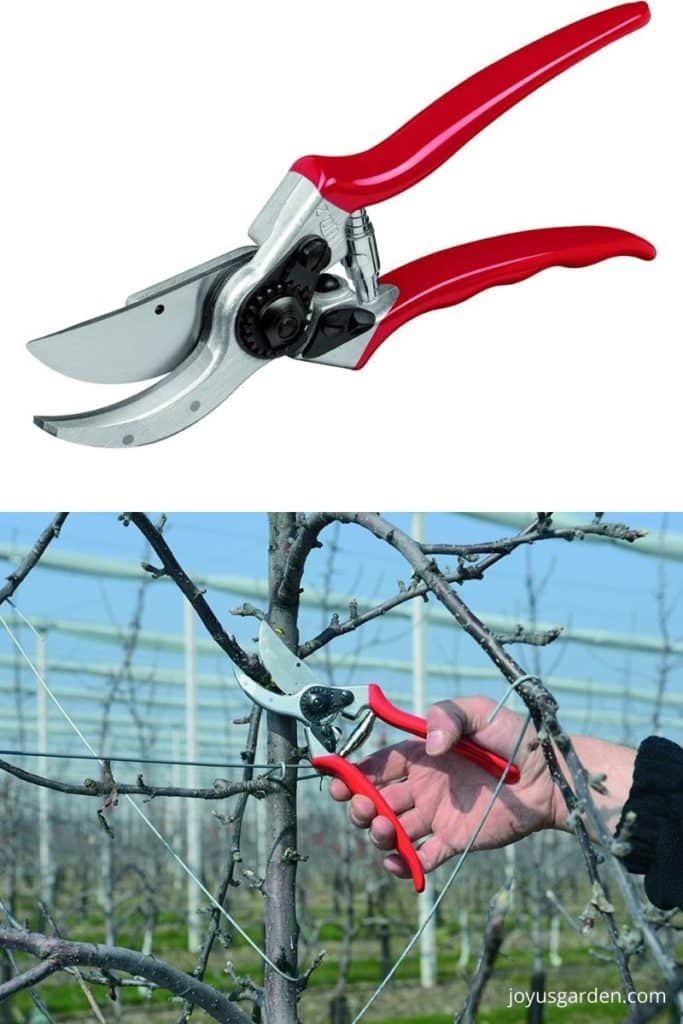 felco pruning shears to buy on amazon red felco pruners cutting a thin branch