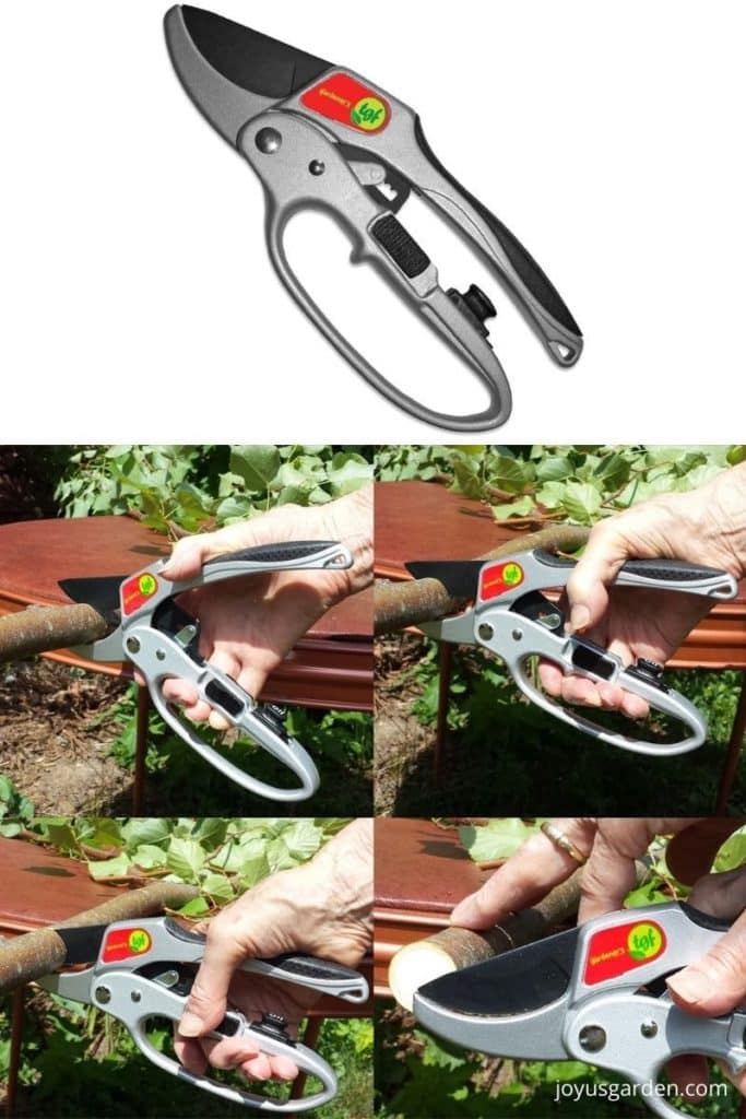 silver pruning shears with a thick handle cutting through a 1 inch piece of wood